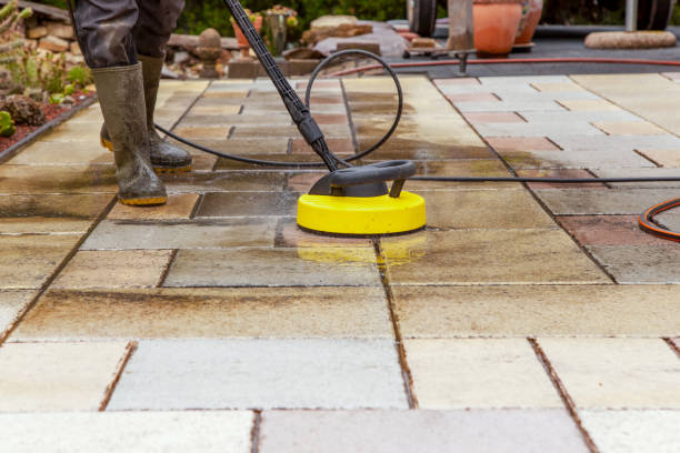 Best Animal Enclosure Cleaning  in Kenvil, NJ